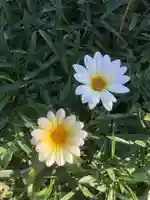 勝川廃寺「醍醐寺跡」(愛知県)