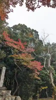 矢田天満宮(京都府)