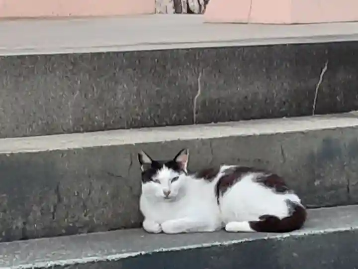 屋久島大社(鹿児島県)