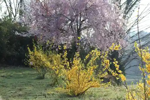 阿久津「田村神社」（郡山市阿久津町）旧社名：伊豆箱根三嶋三社の庭園