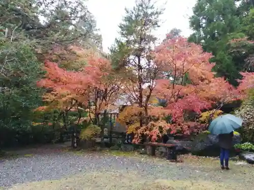 五所駒瀧神社の庭園