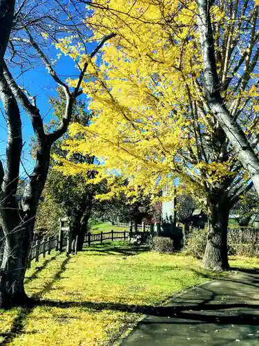 水神神社の自然