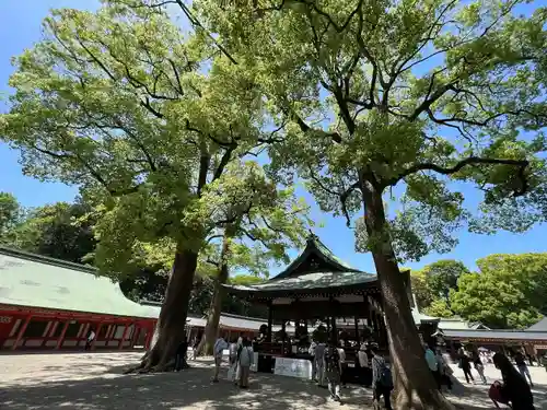 武蔵一宮氷川神社(埼玉県)
