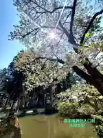 法用寺(雀林観音)(福島県)