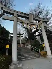 鳩ヶ谷氷川神社(埼玉県)