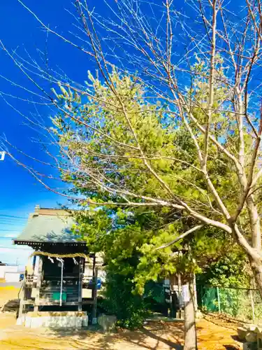 鹿島神社     (茨城県)