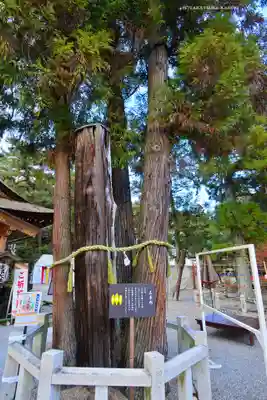 建部大社(滋賀県)