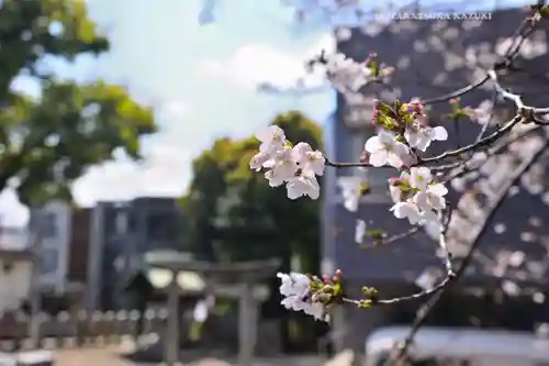 多田神社(東京都)