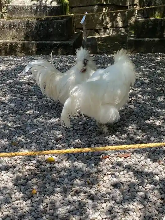 石上神宮(奈良県)