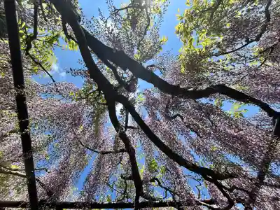 天台宗 五大山 白毫寺(兵庫県)