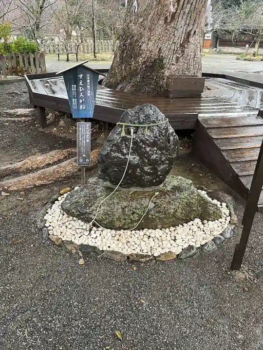 平野神社(京都府)