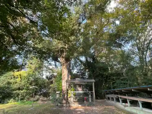 八幡神社（南濃町駒野）(岐阜県)