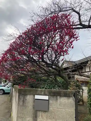 薬師院(神奈川県)