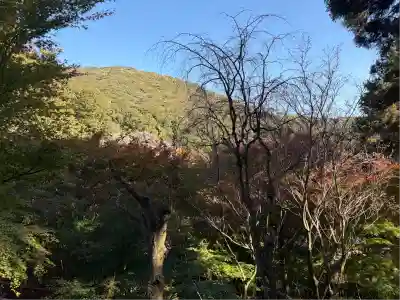 普門寺(切り絵御朱印発祥の寺)(愛知県)
