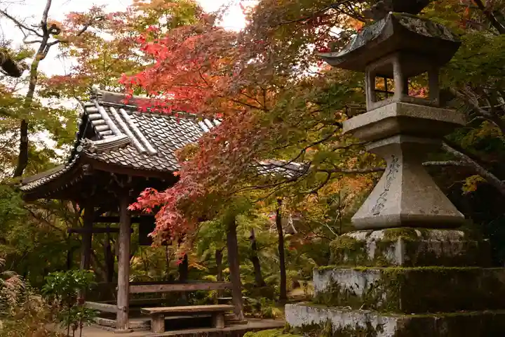 勝持寺(花の寺)(京都府)