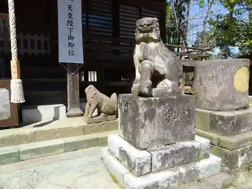 橘樹神社の狛犬