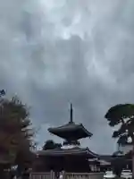 護国寺(東京都)