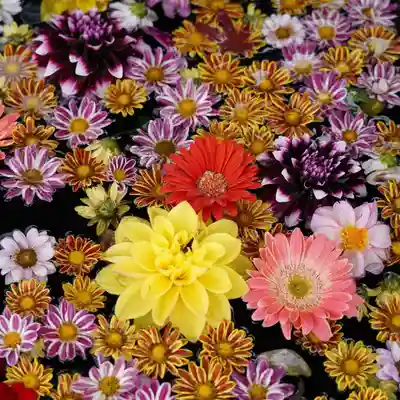 大鏑神社の手水舎