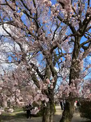 常磐神社の{uncategorized: "未分類", other: "その他", undefined: "問題あり", building: "その他建物", grave: "お墓", sacred_gate: "鳥居", guardian: "狛犬", statue: "像", buddha: "仏像", history: "歴史", nature: "自然", garden: "庭園", animal: "動物", pagoda: "塔", temizu: "手水舎", mountain_gate: "山門・神門", sanctuary: "本殿・本堂", subordinate: "末社・摂社", art: "芸術", scenery: "景色", jizo: "地蔵", ema: "絵馬", goshuin: "御朱印", omikuji: "おみくじ", items: "授与品その他", amulet: "お守り", goshuincho: "御朱印帳", eats: "食事", festival: "お祭り", votive_dance: "神楽", shichigosan: "七五三参", wedding: "結婚式", experience: "体験その他", initially: "初詣", around: "周辺", anti_infection: "感染症対策"}