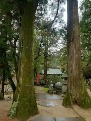 大窪寺(香川県)
