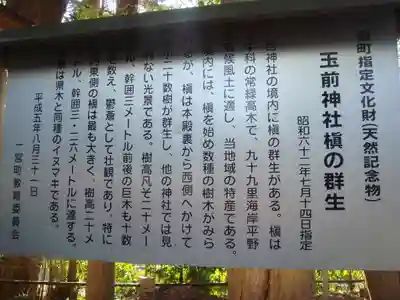 玉前神社の歴史