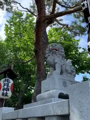 北見神社の狛犬