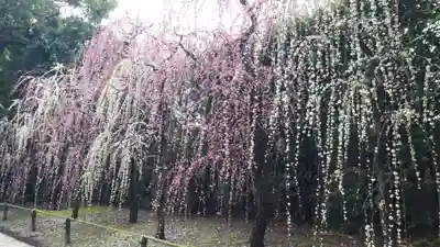 城南宮(京都府)