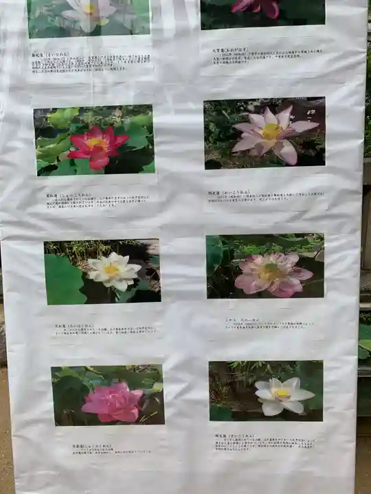 生田神社(兵庫県)