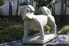 本要寺の狛犬