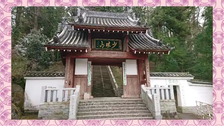 達磨寺(群馬県)