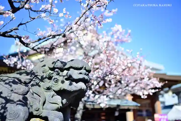 湯島天満宮の自然