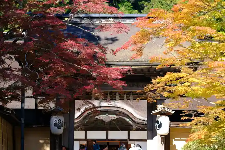 高野山金剛峯寺(和歌山県)