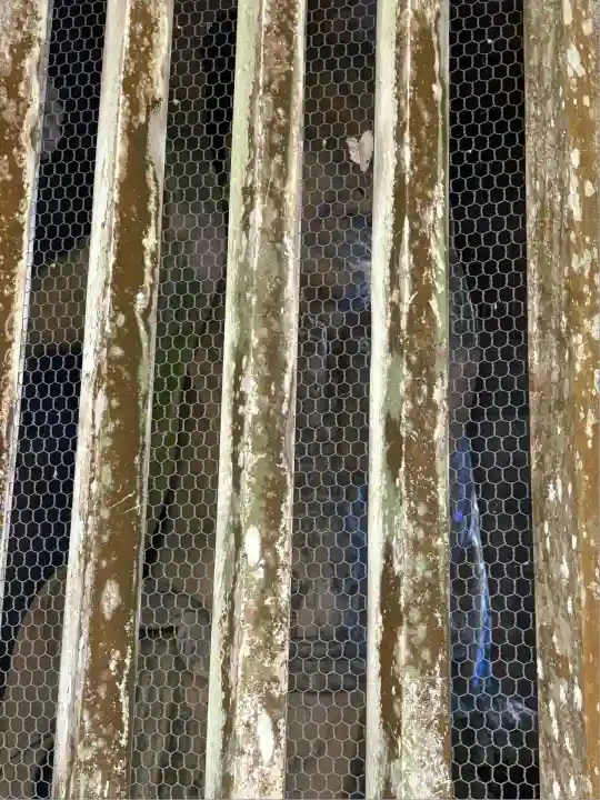 安居寺(富山県)