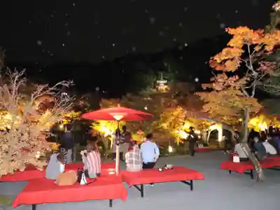 高台寺（高台寿聖禅寺・高臺寺）(京都府)