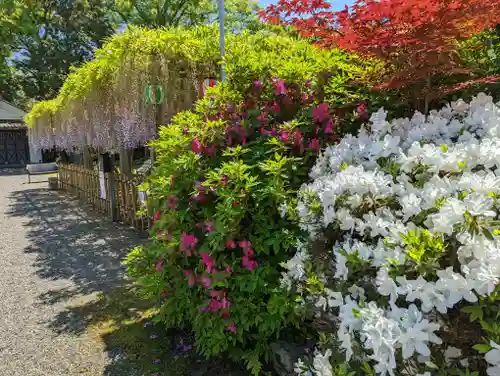 惣社神社(滋賀県)