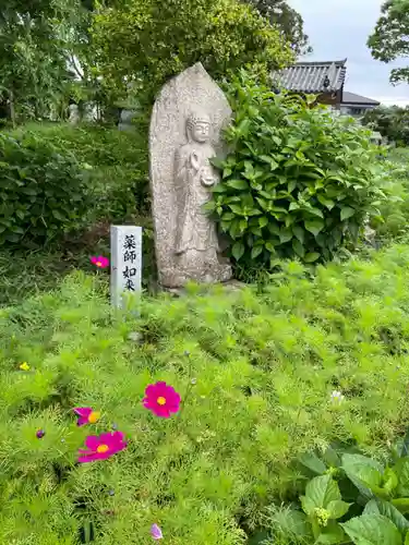 般若寺 ❁﻿コスモス寺❁(奈良県)