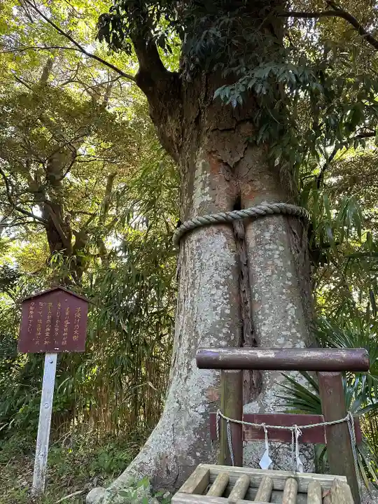 魂生神社(千葉県)