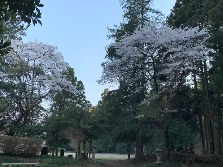 滝沢神社(栃木県)