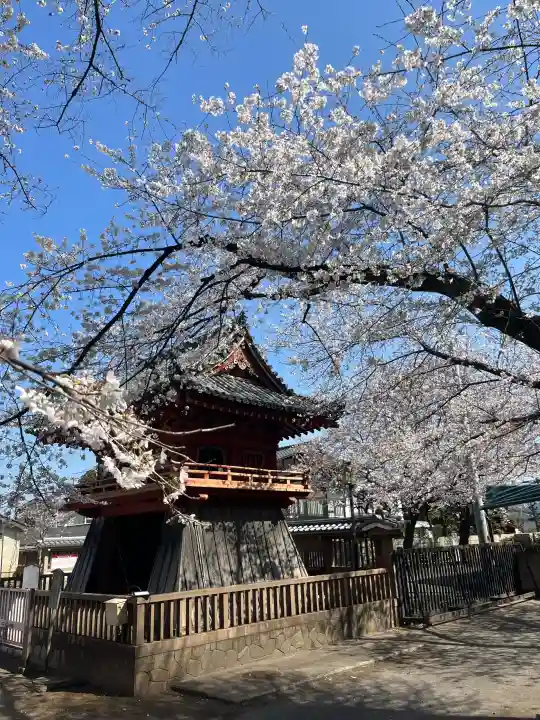 喜多院の{uncategorized: "未分類", other: "その他", undefined: "問題あり", building: "その他建物", grave: "お墓", sacred_gate: "鳥居", guardian: "狛犬", statue: "像", buddha: "仏像", history: "歴史", nature: "自然", garden: "庭園", animal: "動物", pagoda: "塔", temizu: "手水舎", mountain_gate: "山門・神門", sanctuary: "本殿・本堂", subordinate: "末社・摂社", art: "芸術", scenery: "景色", jizo: "地蔵", ema: "絵馬", goshuin: "御朱印", omikuji: "おみくじ", items: "授与品その他", amulet: "お守り", goshuincho: "御朱印帳", eats: "食事", festival: "お祭り", votive_dance: "神楽", shichigosan: "七五三参", wedding: "結婚式", experience: "体験その他", initially: "初詣", around: "周辺", anti_infection: "感染症対策"}