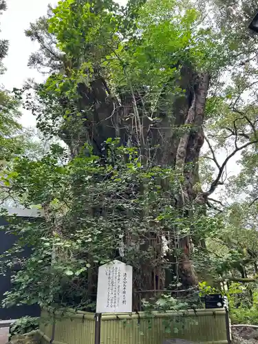 加藤神社(熊本県)