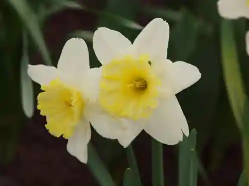 三毳不動尊(栃木県)