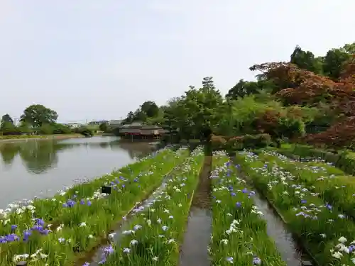 長岡天満宮の庭園