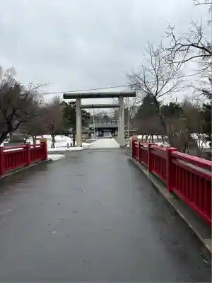 札幌護國神社の鳥居