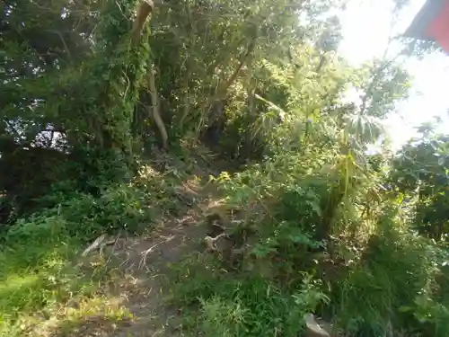 歓廣稲荷大明神の自然