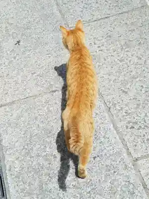 艮神社(広島県)