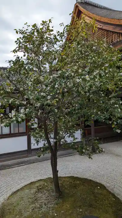 建仁寺(建仁禅寺)(京都府)