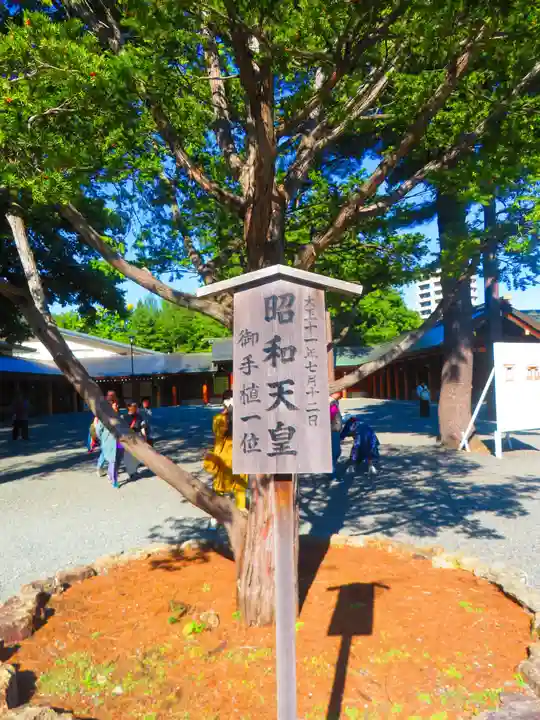 北海道神宮(北海道)