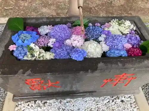 赤城神社の手水