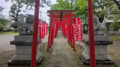 於菊稲荷神社の{uncategorized: "未分類", other: "その他", undefined: "問題あり", building: "その他建物", grave: "お墓", sacred_gate: "鳥居", guardian: "狛犬", statue: "像", buddha: "仏像", history: "歴史", nature: "自然", garden: "庭園", animal: "動物", pagoda: "塔", temizu: "手水舎", mountain_gate: "山門・神門", sanctuary: "本殿・本堂", subordinate: "末社・摂社", art: "芸術", scenery: "景色", jizo: "地蔵", ema: "絵馬", goshuin: "御朱印", omikuji: "おみくじ", items: "授与品その他", amulet: "お守り", goshuincho: "御朱印帳", eats: "食事", festival: "お祭り", votive_dance: "神楽", shichigosan: "七五三参", wedding: "結婚式", experience: "体験その他", initially: "初詣", around: "周辺", anti_infection: "感染症対策"}
