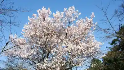 金刀比羅宮(香川県)